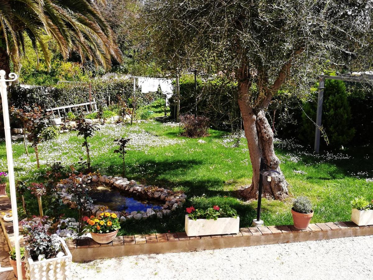 La Ginestra Bed and Breakfast Sirolo Exteriör bild